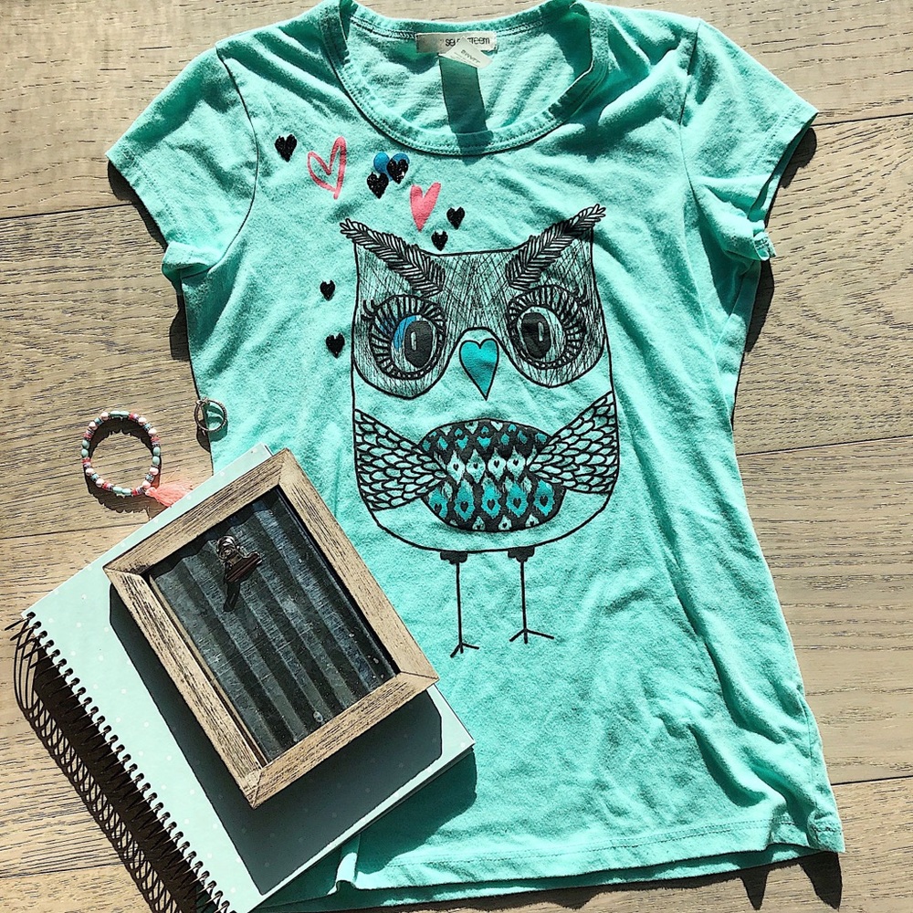 Self Esteem Aqua Blue Graphic T-Shirt Owl Design